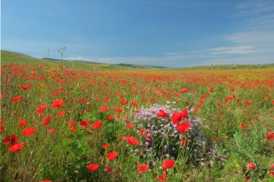 Прикрепленное изображение: 03.jpg